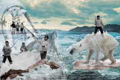 save the polar bear